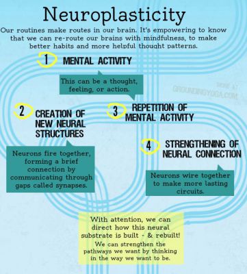 THE MIND AND BODY CONNECTION - NEUROPLASTICITY